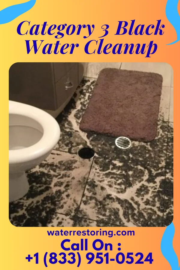 Category 3 Black Water Cleanup in Jefferson, WV