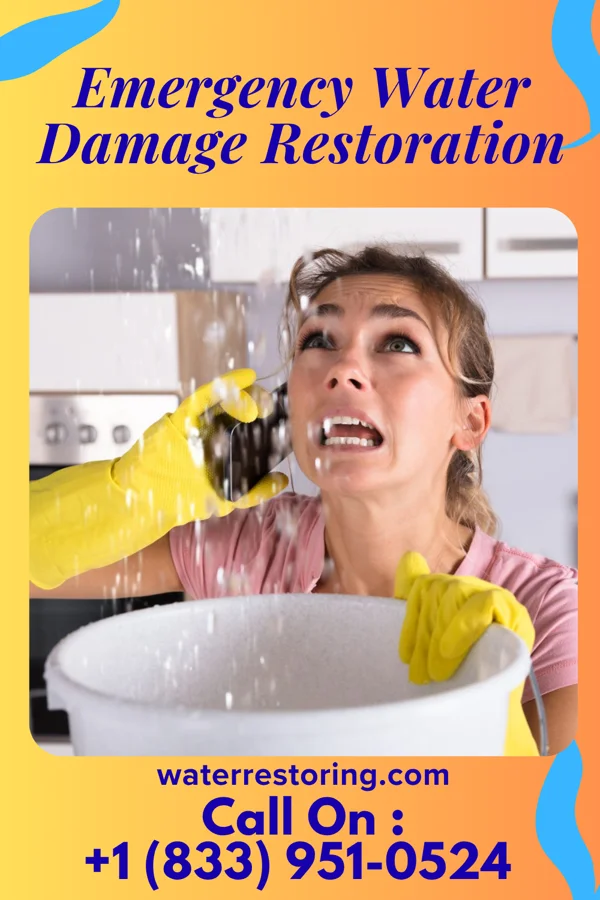 Emergency Water Damage Restoration in Jefferson, WV