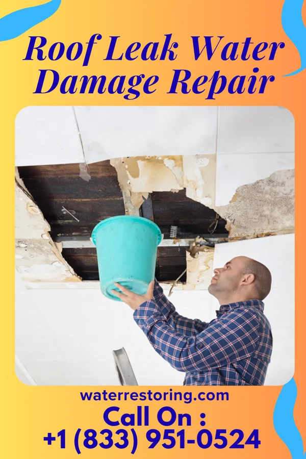 Roof Leak Water Damage Repair in Jefferson, WV