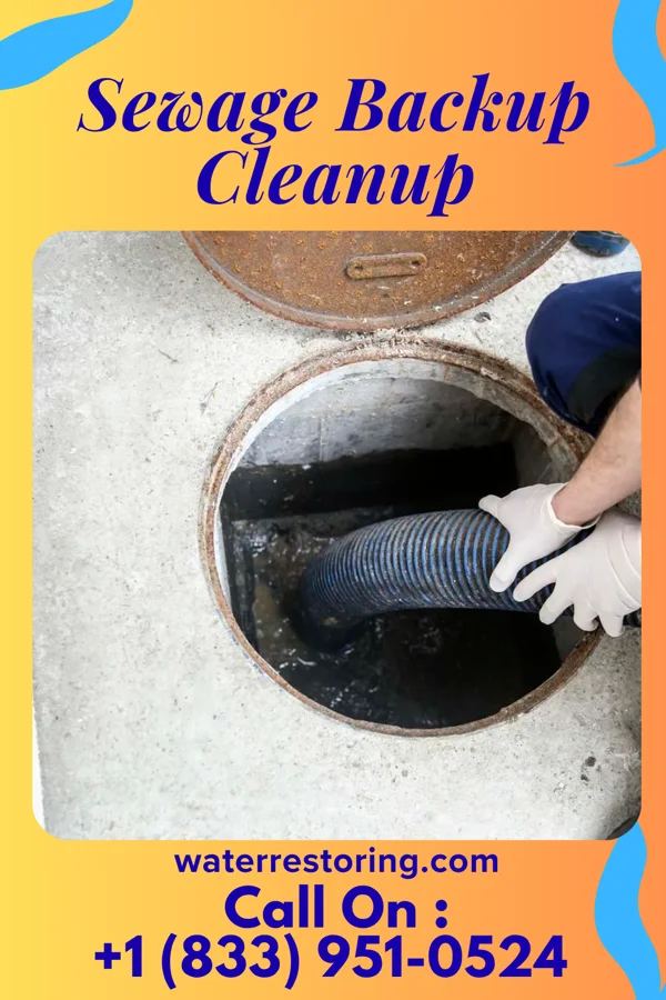 Sewage Backup Cleanup in Jefferson, WV