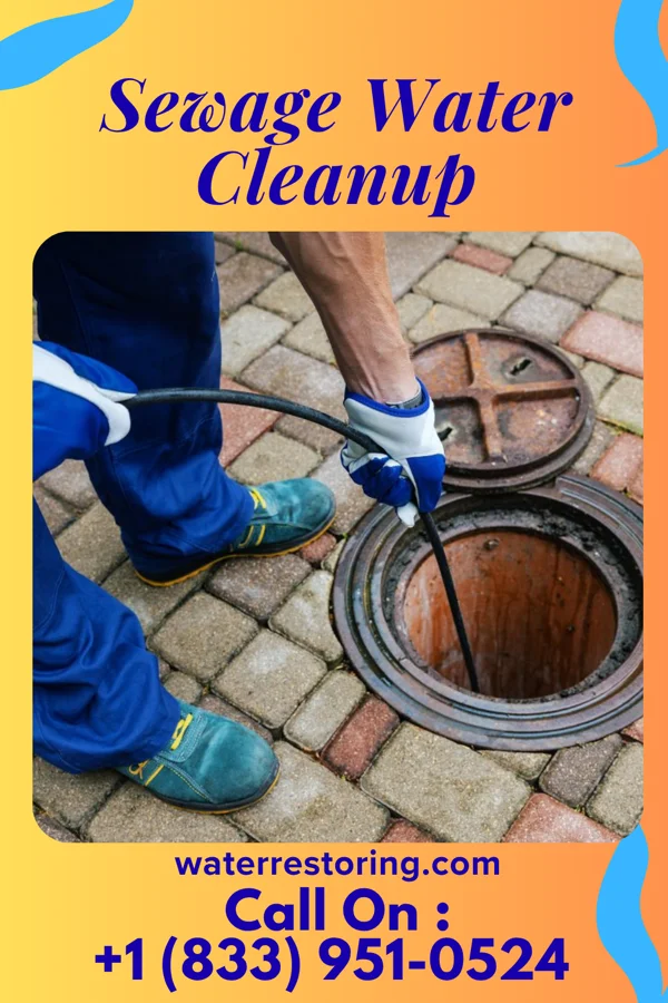 Sewage Water Cleanup in Jefferson, WV