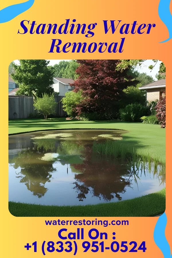 Standing Water Removal in Jefferson, WV